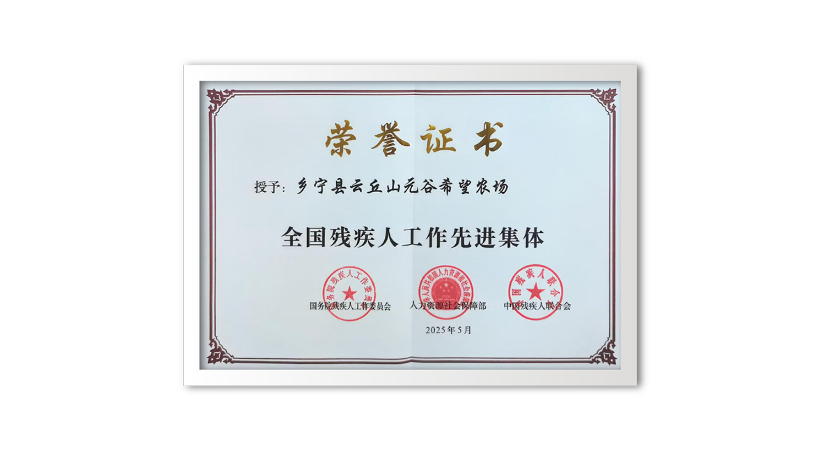 残疾人先进集体证书