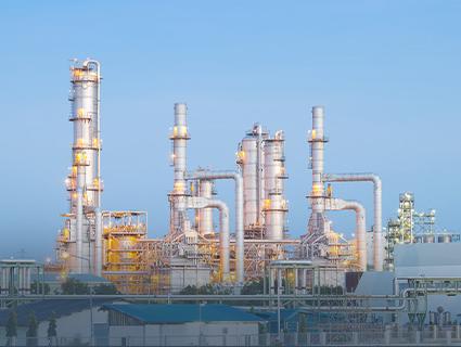 Petrochemical / Oil & Gas